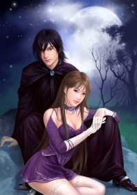 杀破狼