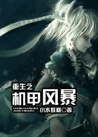 重生之機甲風暴